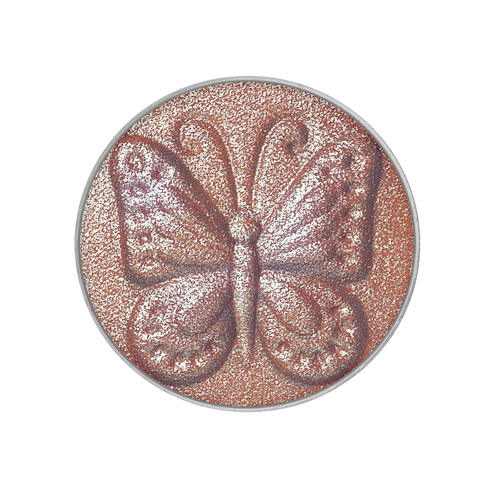 シャイニー アイカラー 503