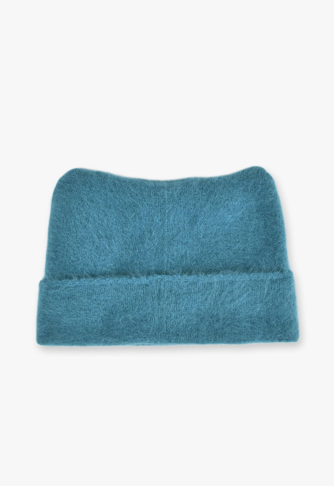 アンゴラ猫ワッチ