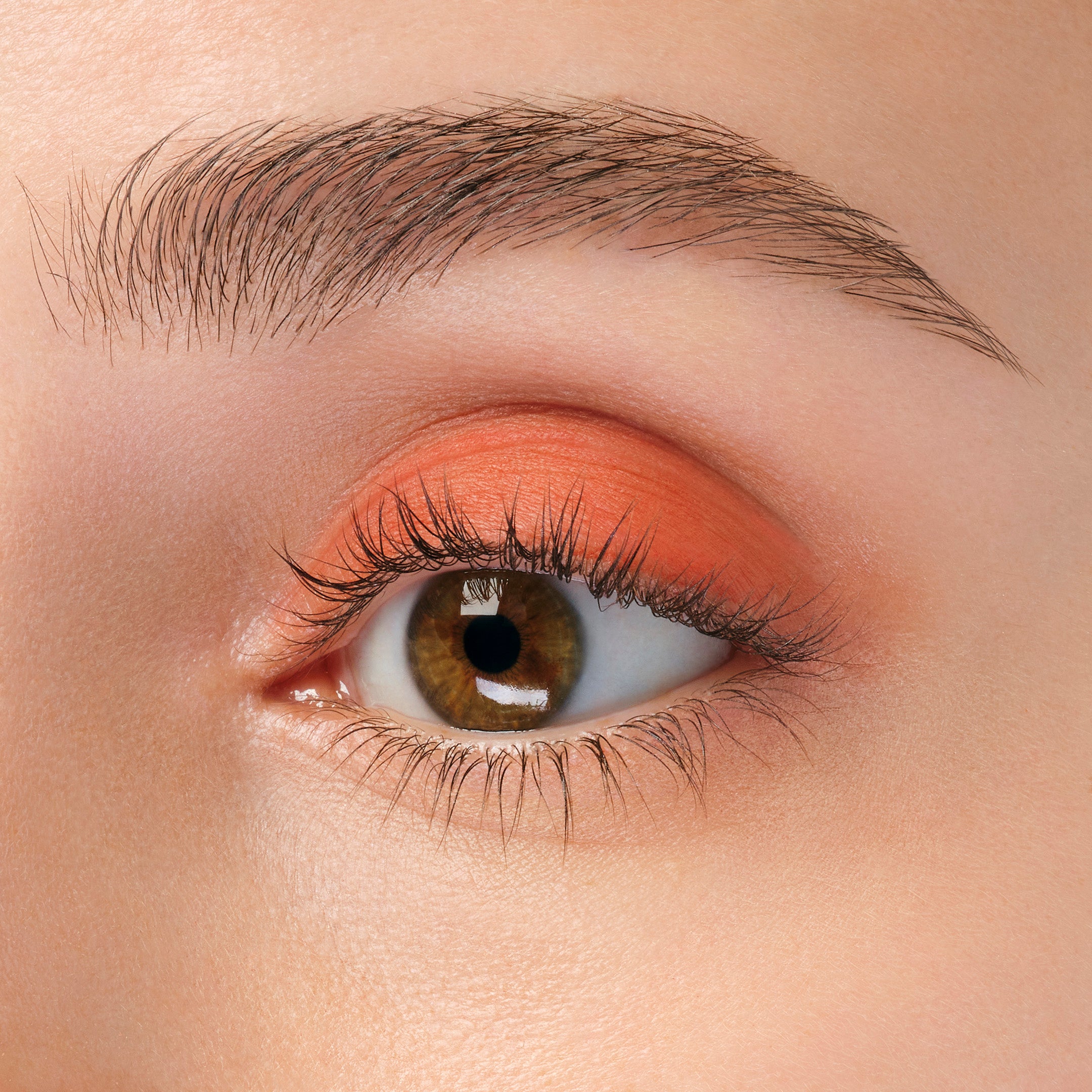 マット アイカラー 600