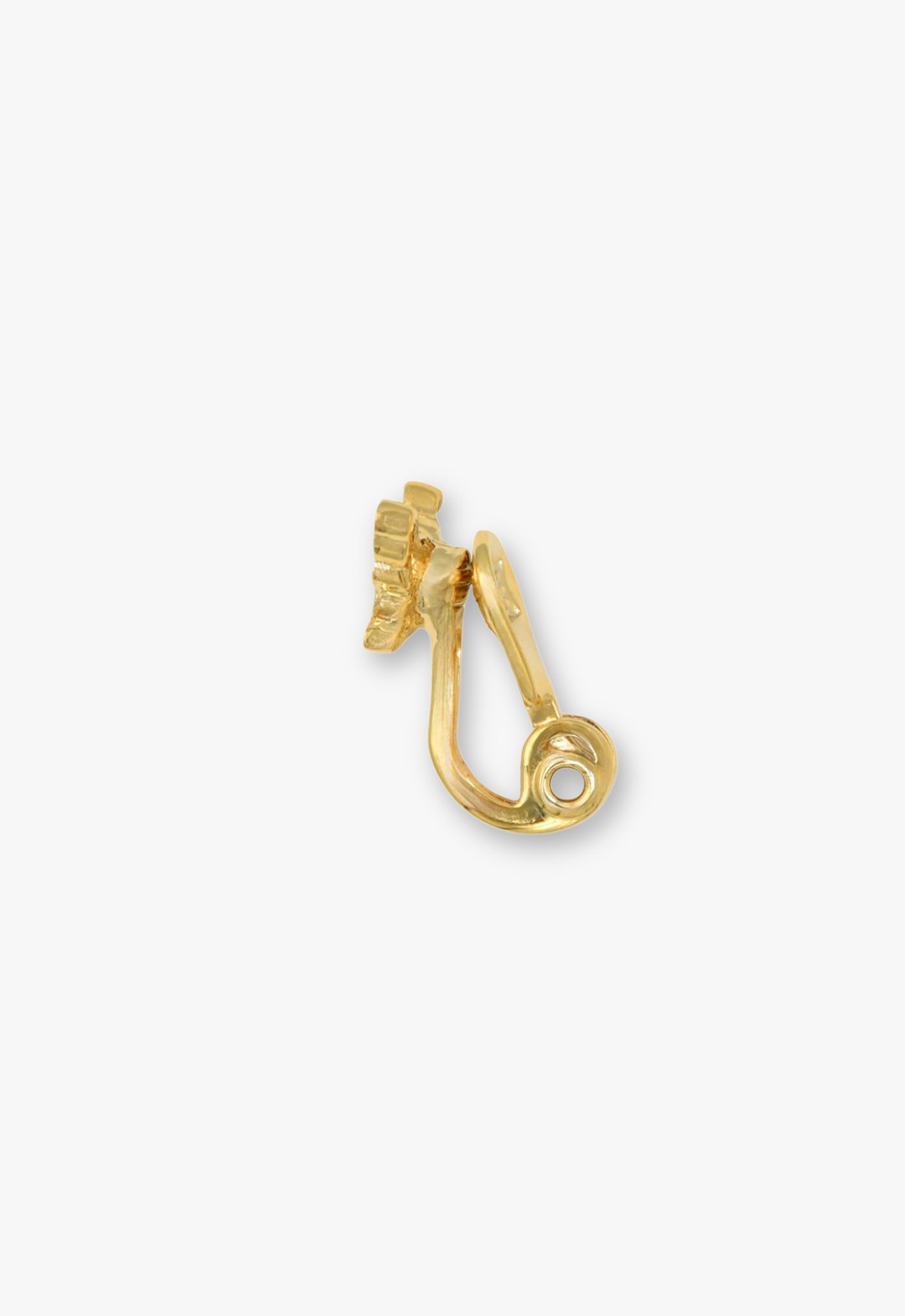 Melon motif earrings