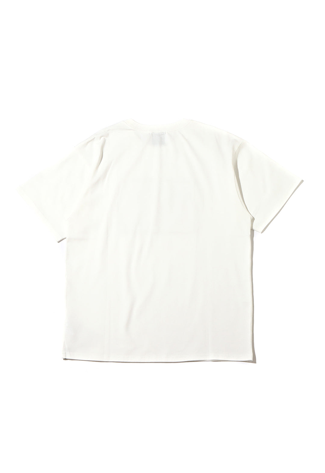 ANNA SUI Archive 3D Printed T-Shirt